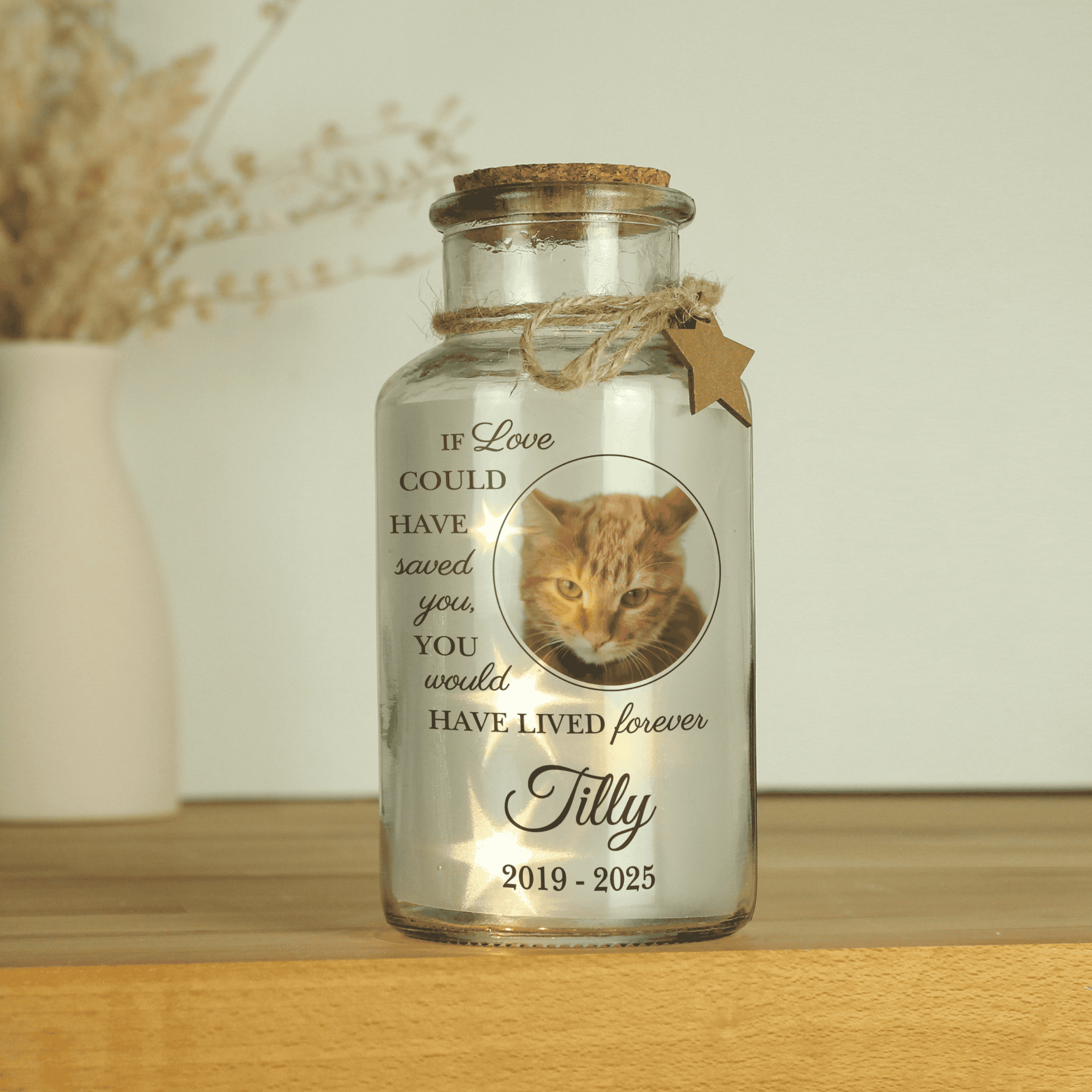 Personalised Pet Memorial Photo Upload LED Light Up Jar featuring a cat