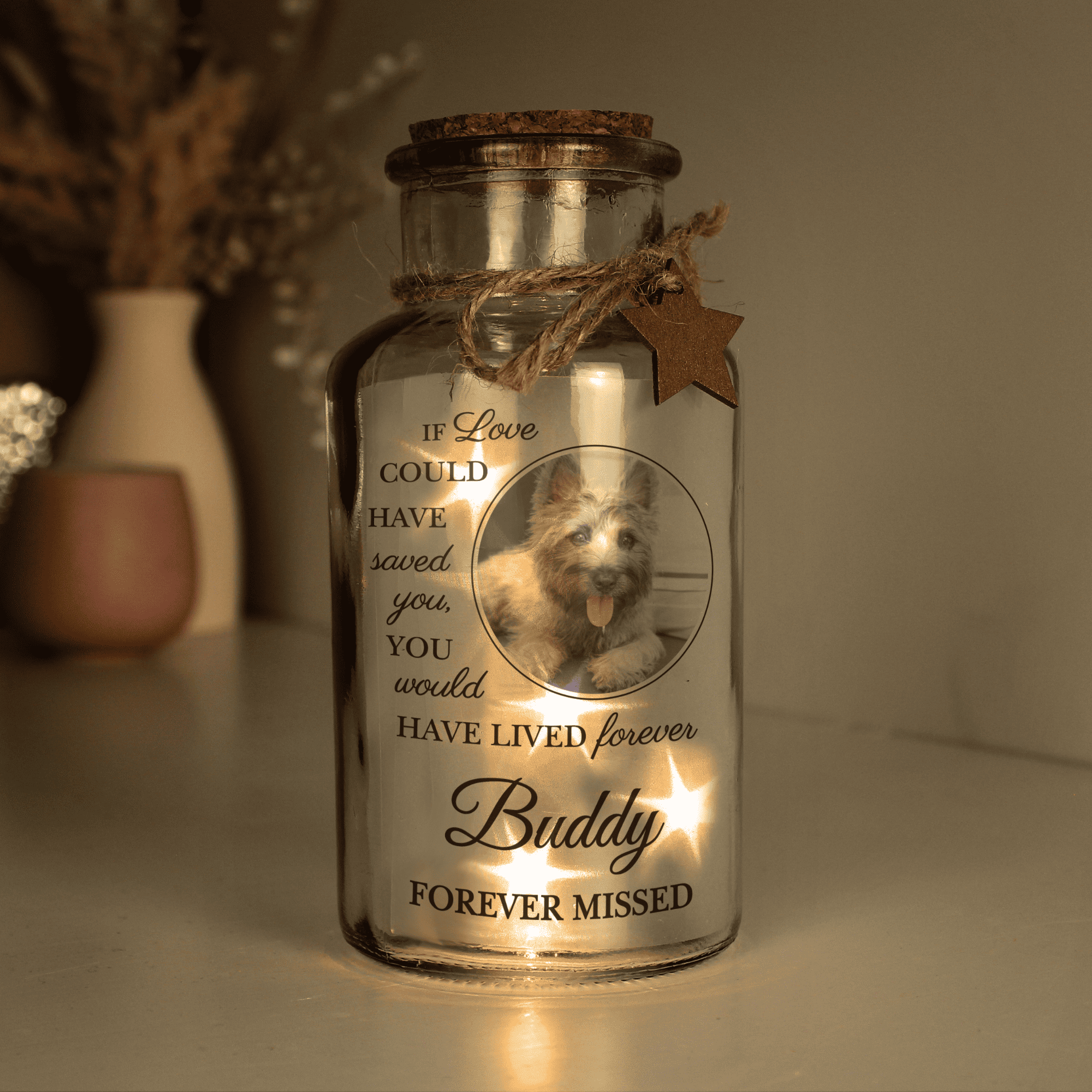 Personalised Pet Memorial Photo Upload LED Light Up Jar featuring a dog