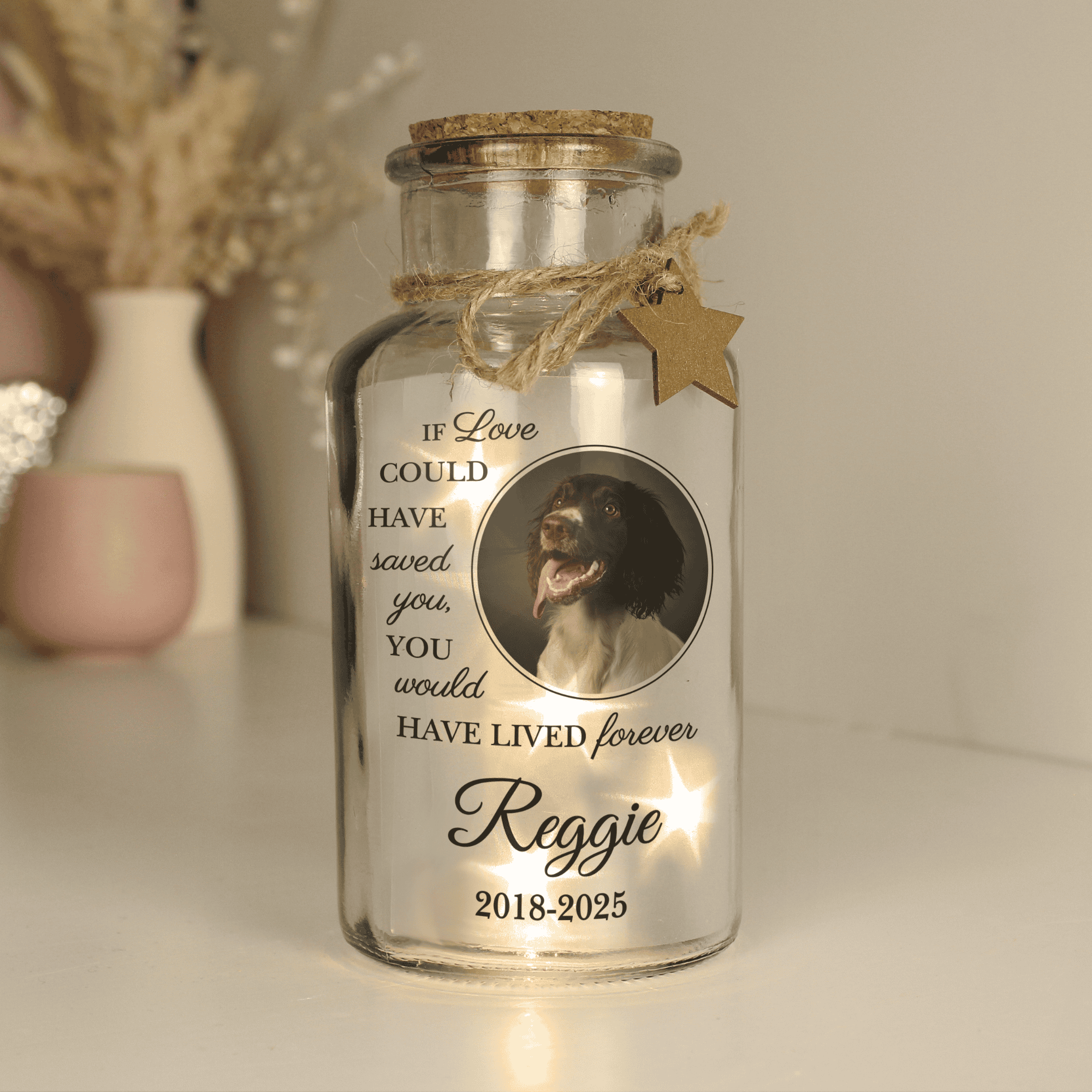 Personalised Pet Memorial Photo Upload LED Light Up Jar featuring a photo of a dog