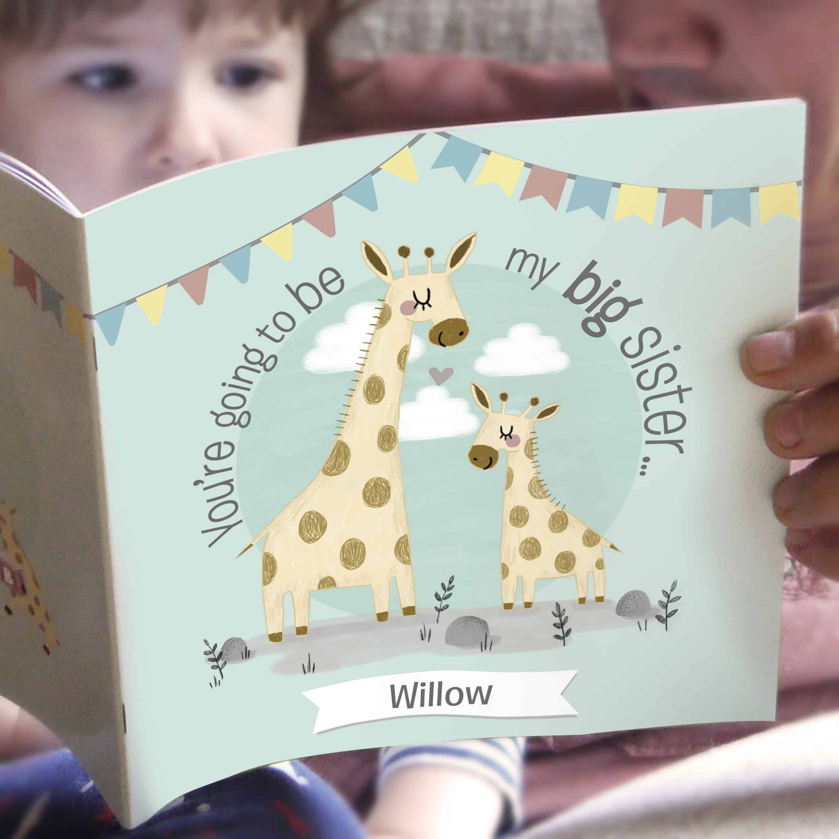 Big Sister Book