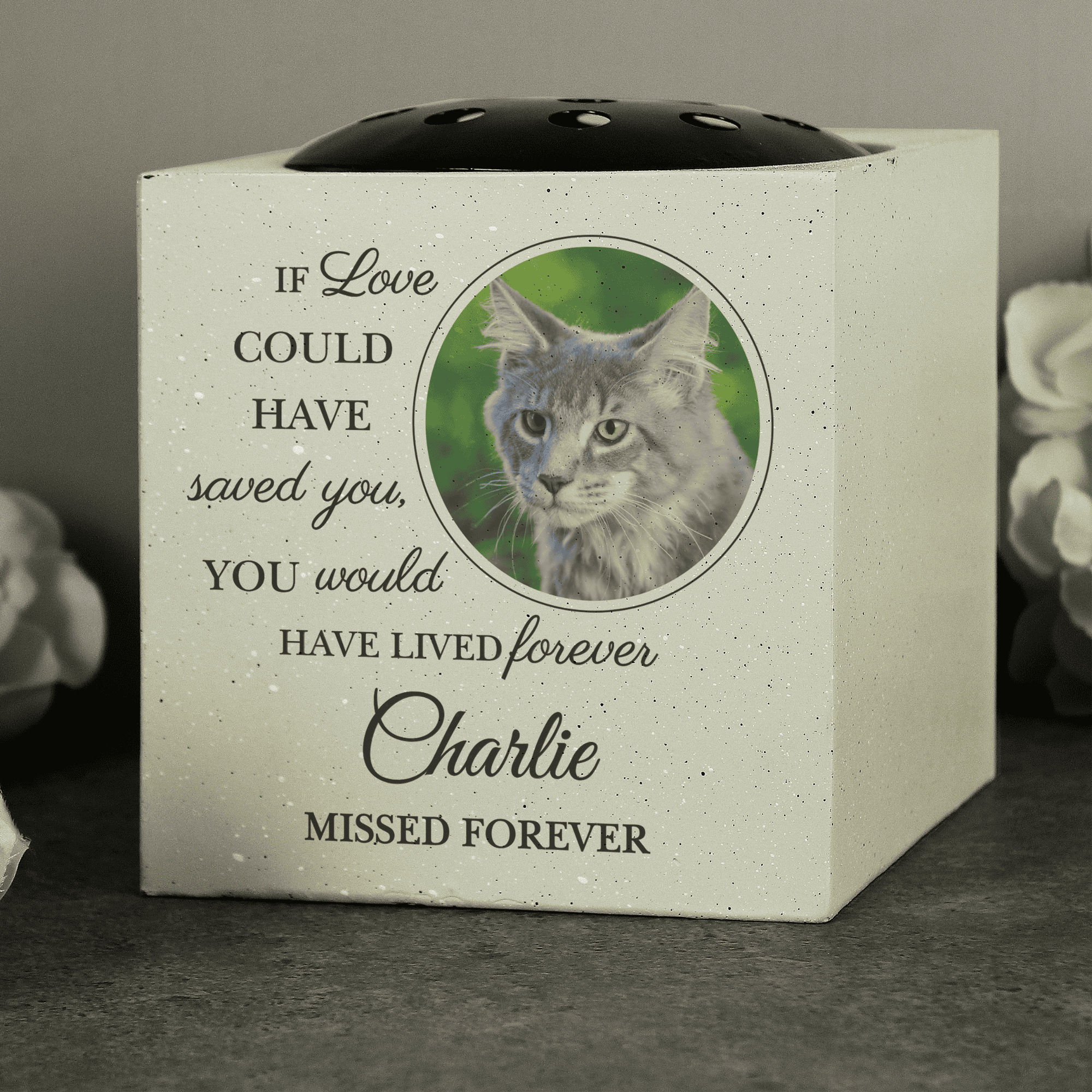 Personalised Pet Photo Upload Memorial Garden Vase photo of a cat
