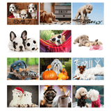 personalised a4 dog wall calendar with any name personalised on each month