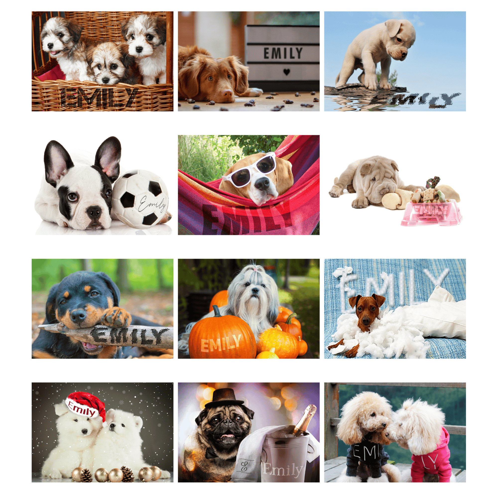personalised a4 dog wall calendar with any name personalised on each month