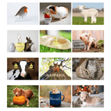 personallised a4 wall calendar of cute animals with the person's name featured in the picture for every month