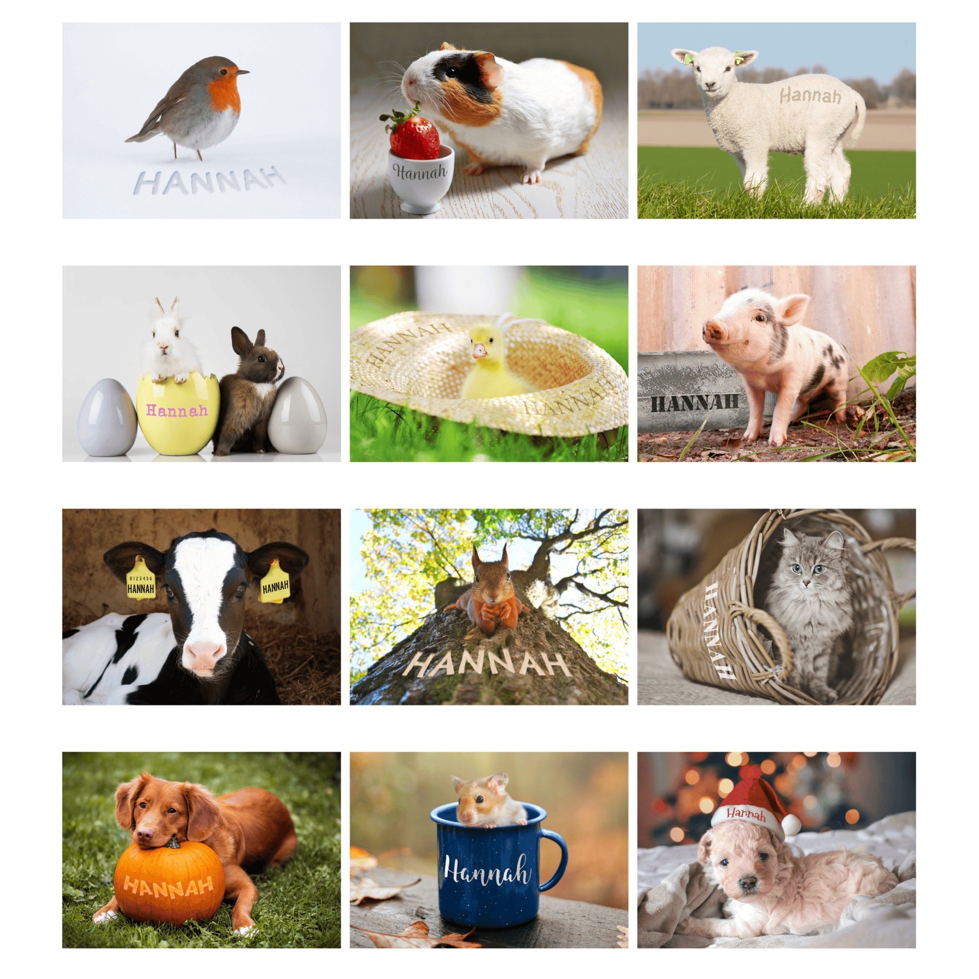 personallised a4 wall calendar of cute animals with the person's name featured in the picture for every month