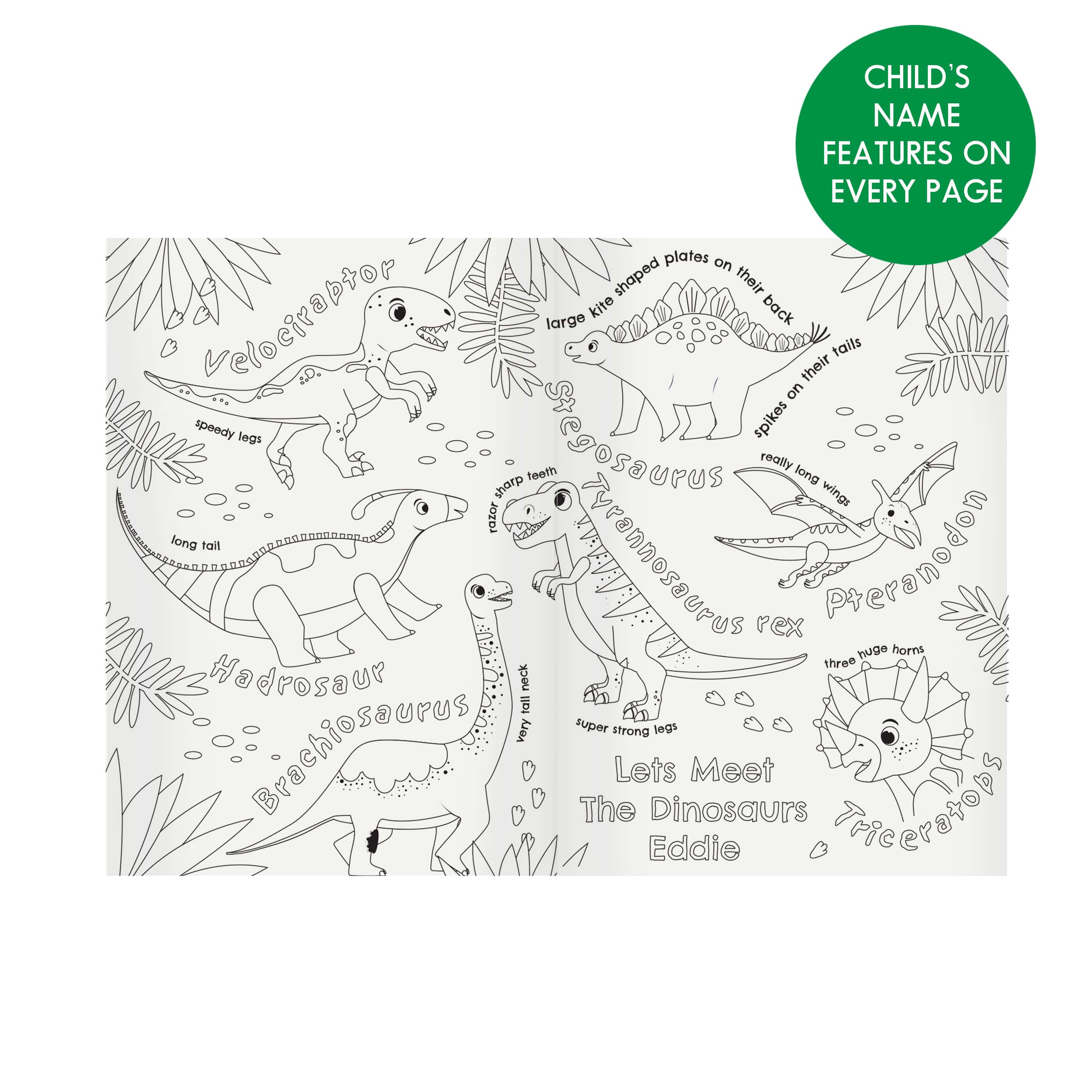 Personalised Zoo Colouring Book – Custom Name on Every Page | 28 Pages of Wild Animal Fun for Kids