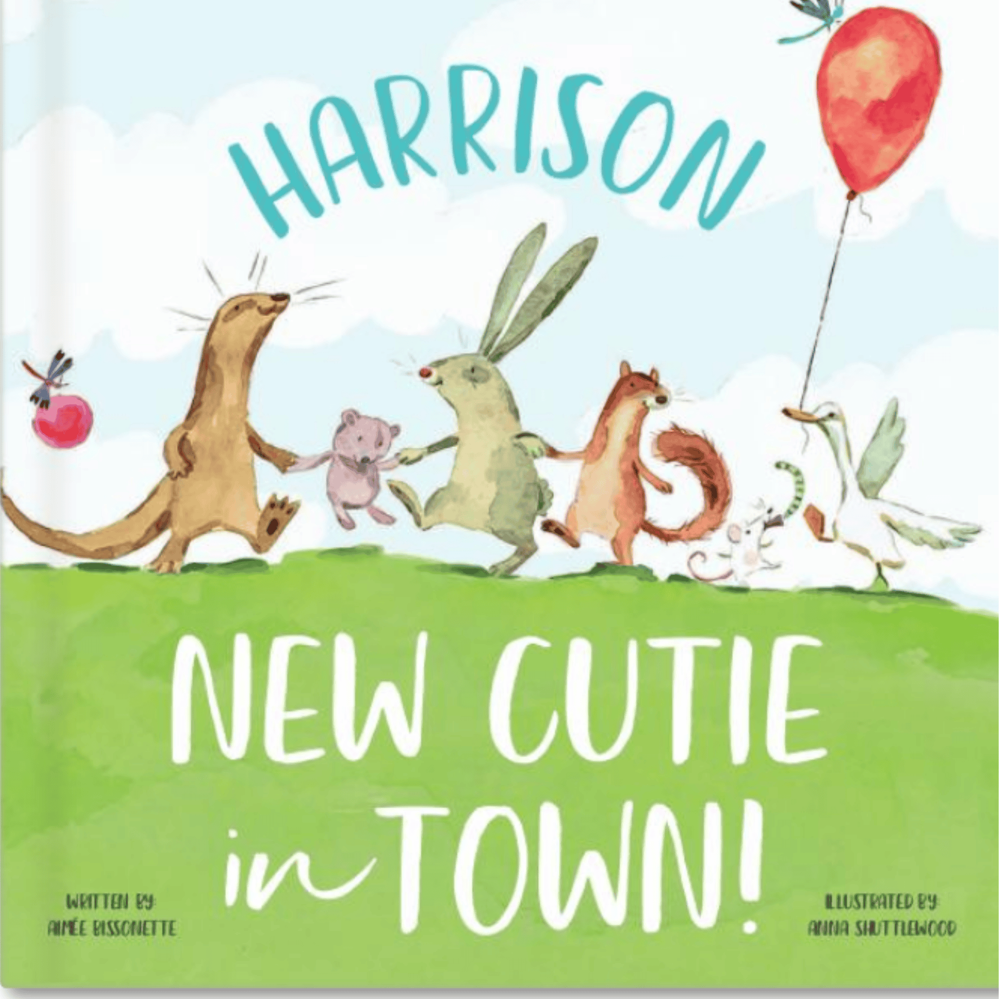New Cutie In Town Book