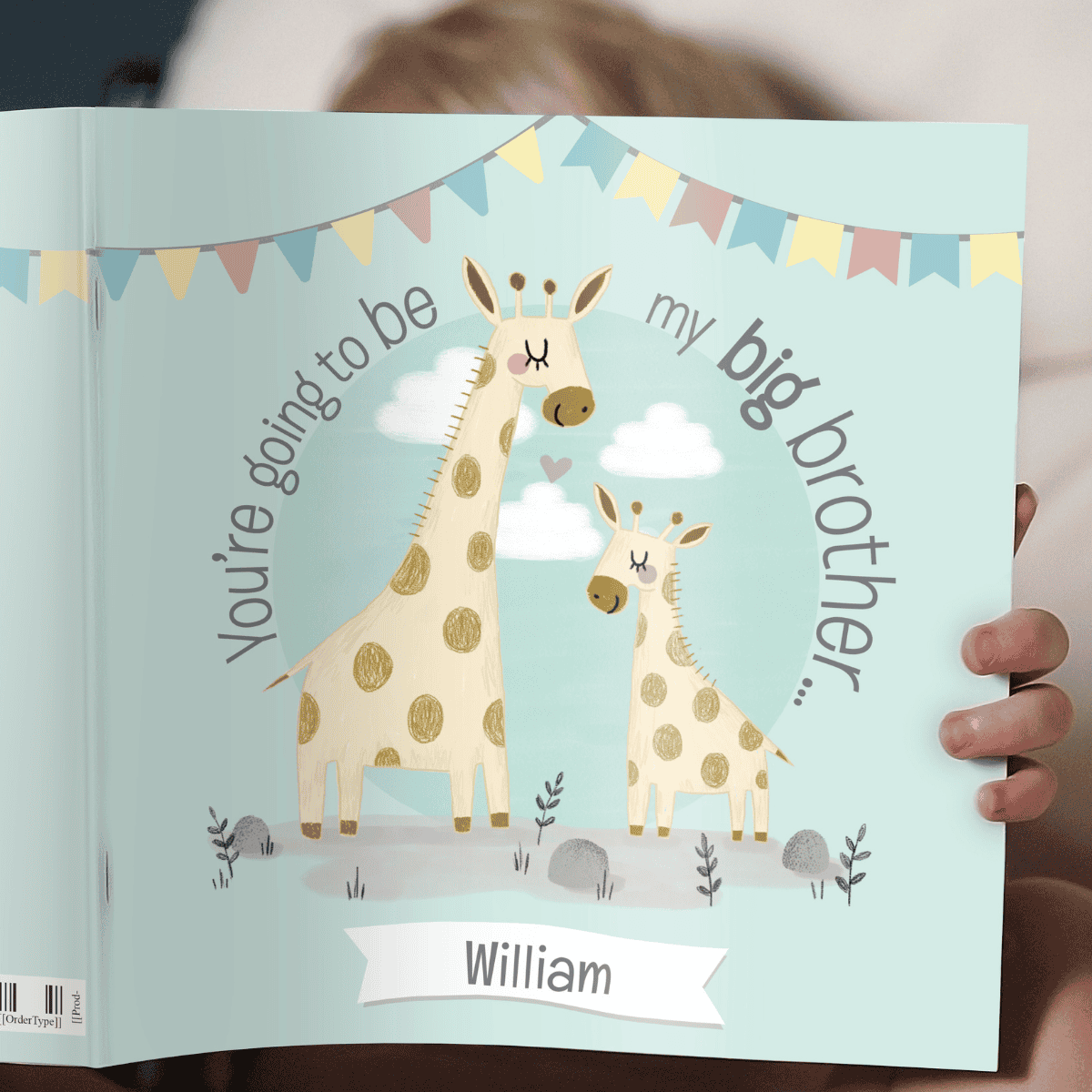 personalised big brother book showing the front cover of the book