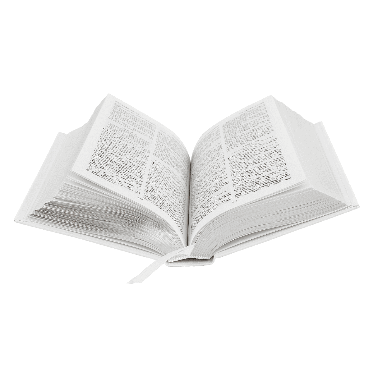 personalised blue cross bible showing the inside of the bible