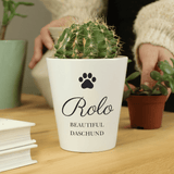 personalised ceramic pawprint plant pot personalised with a name and message over 2 lines