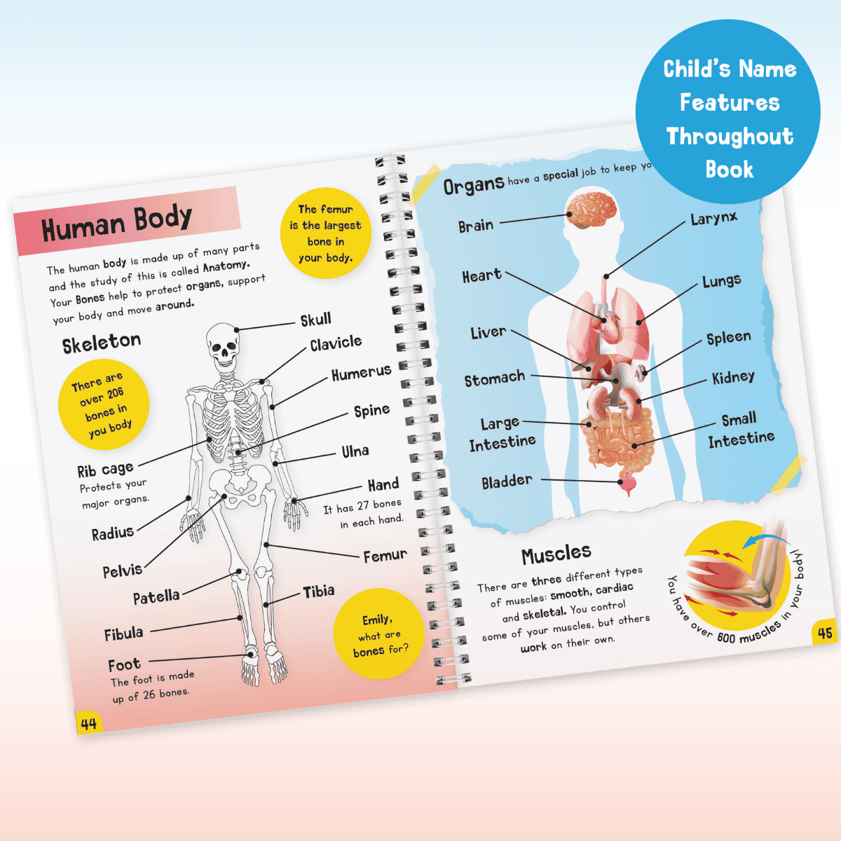 personalised children's encylopaedia showing the illustrations inside the book