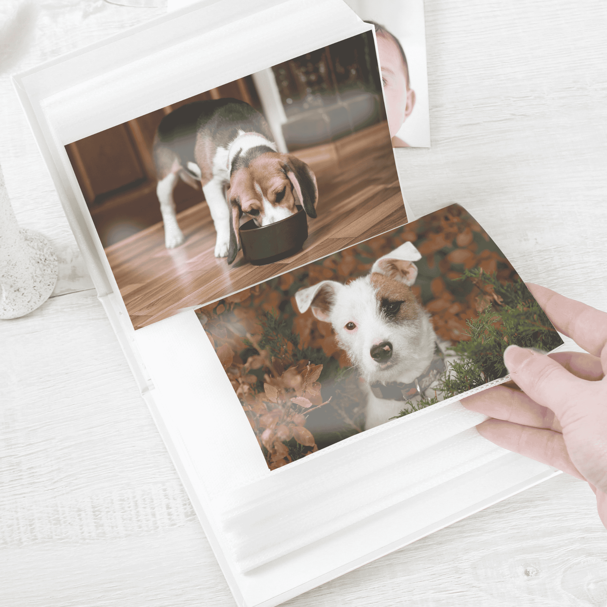 personalised dog album with sleeves inside image