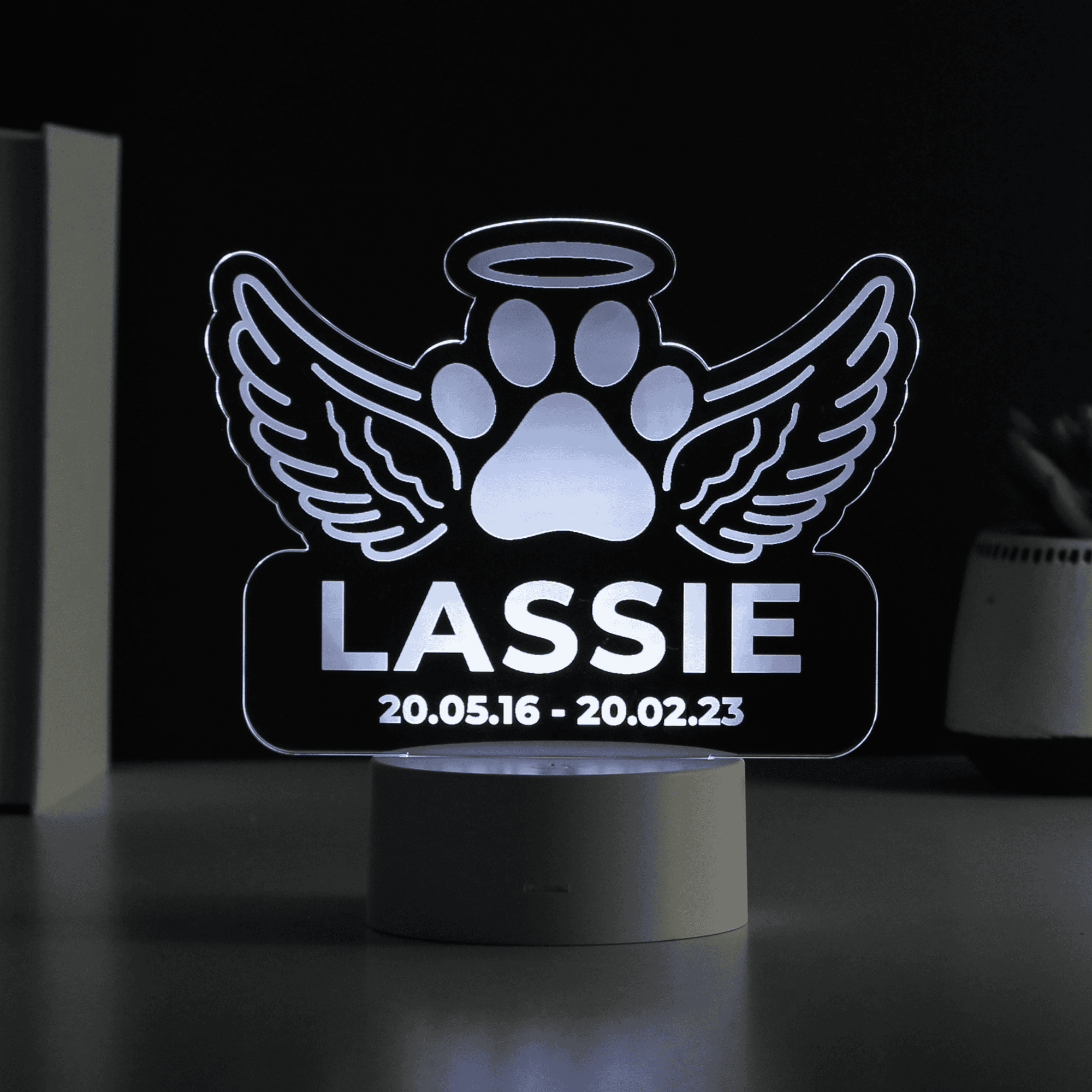 Personalised Pet Memorial Colour Changing LED Ligh