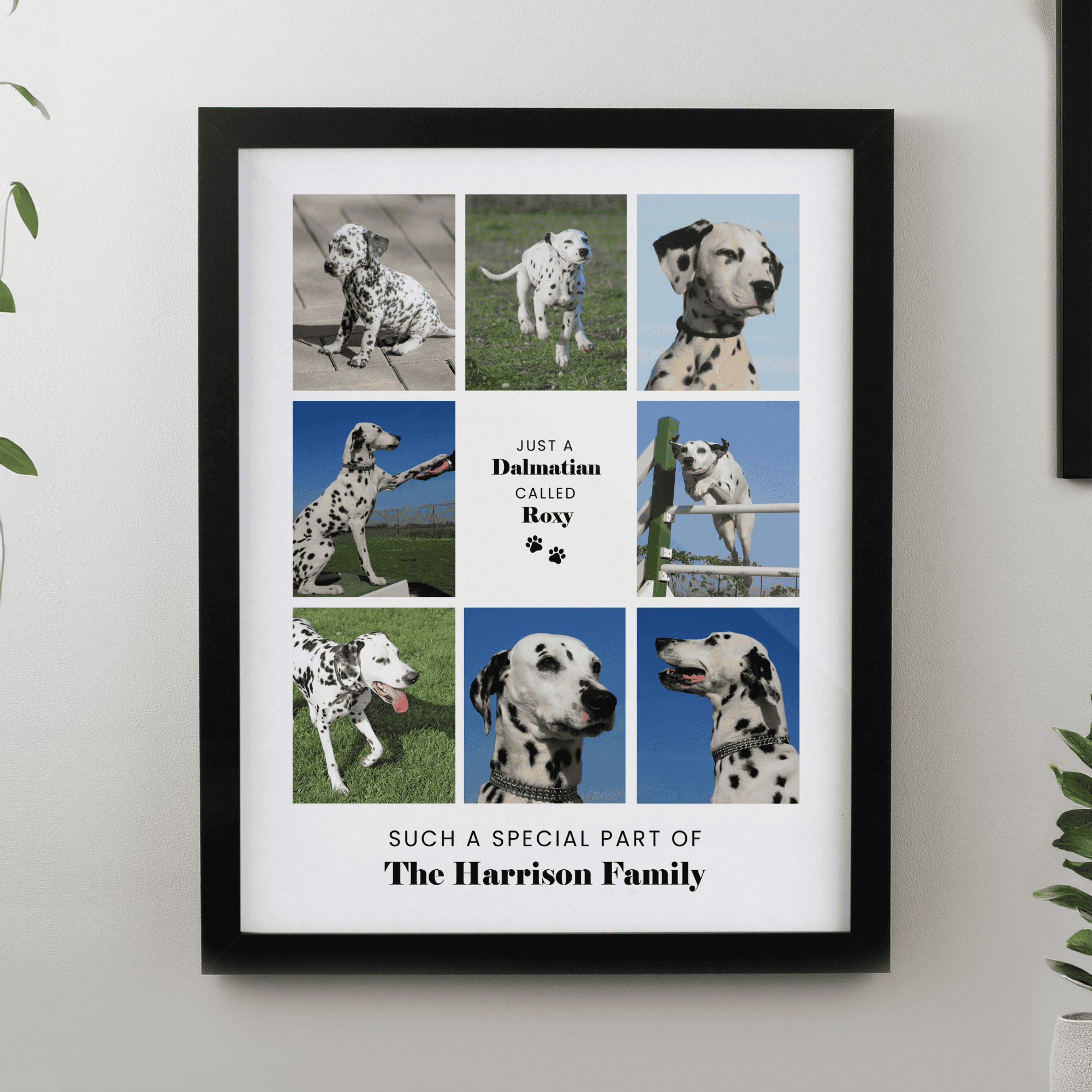 personalised black mutli photo pet frame with space for 8 photos.