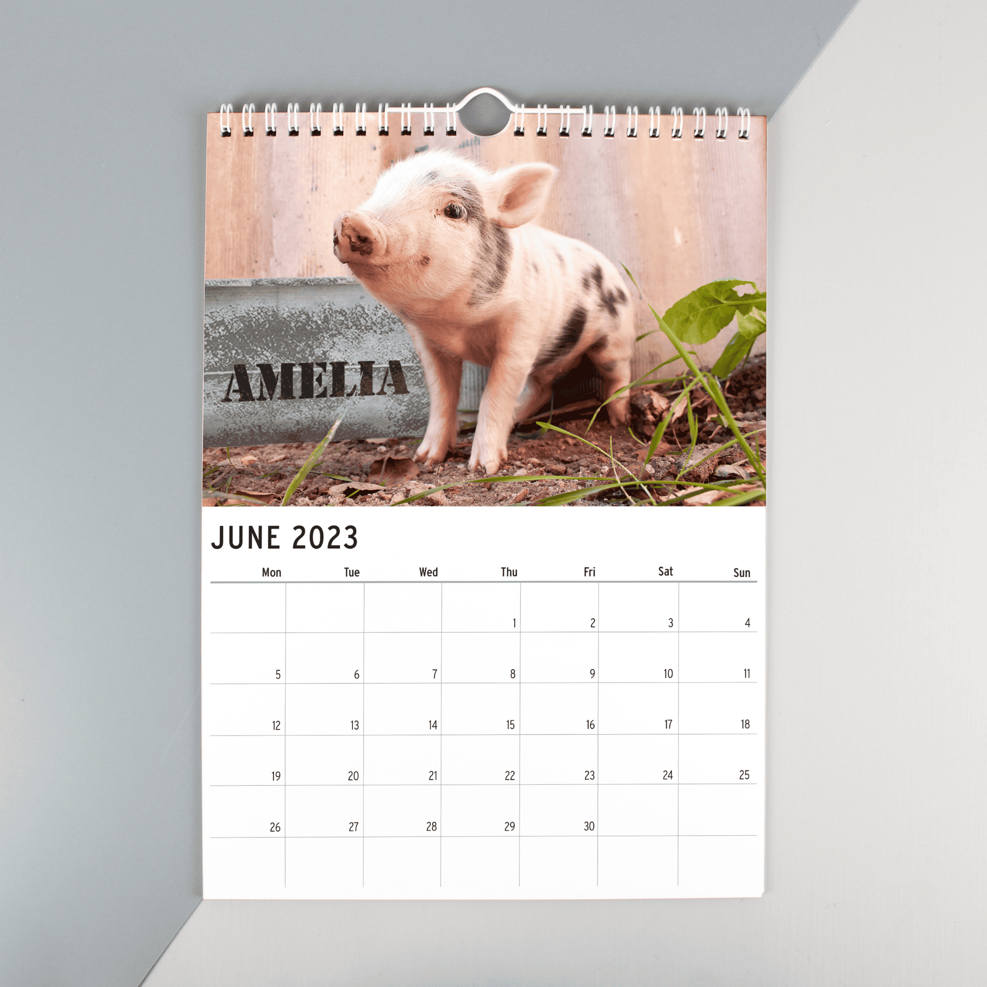 personallised a4 wall calendar of cute animals with the person's name featured in the picture for every month