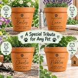 personalised memorial terracotta plant pot with the pets name and message