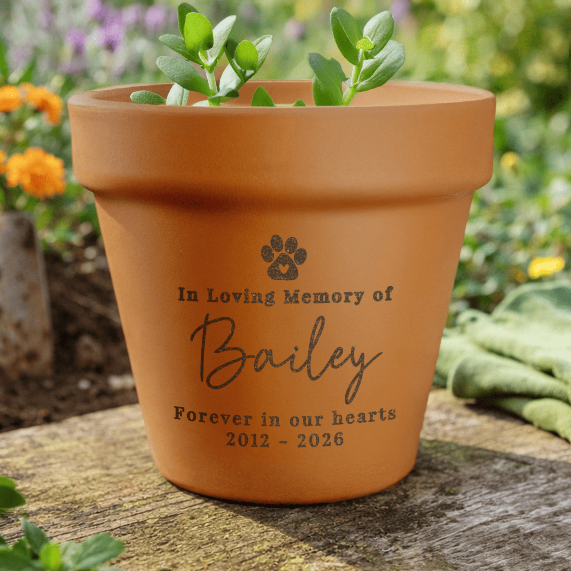 personalised pet memorial plant pot