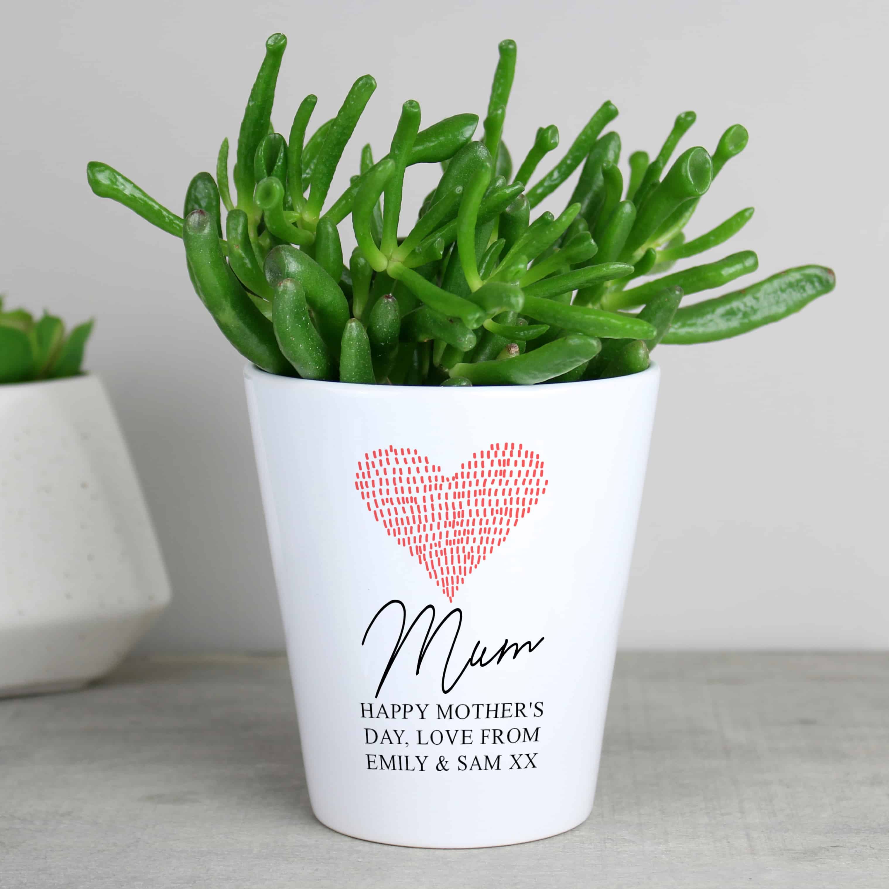 Personalised Heart Plant Pot | Ceramic Flower Pot