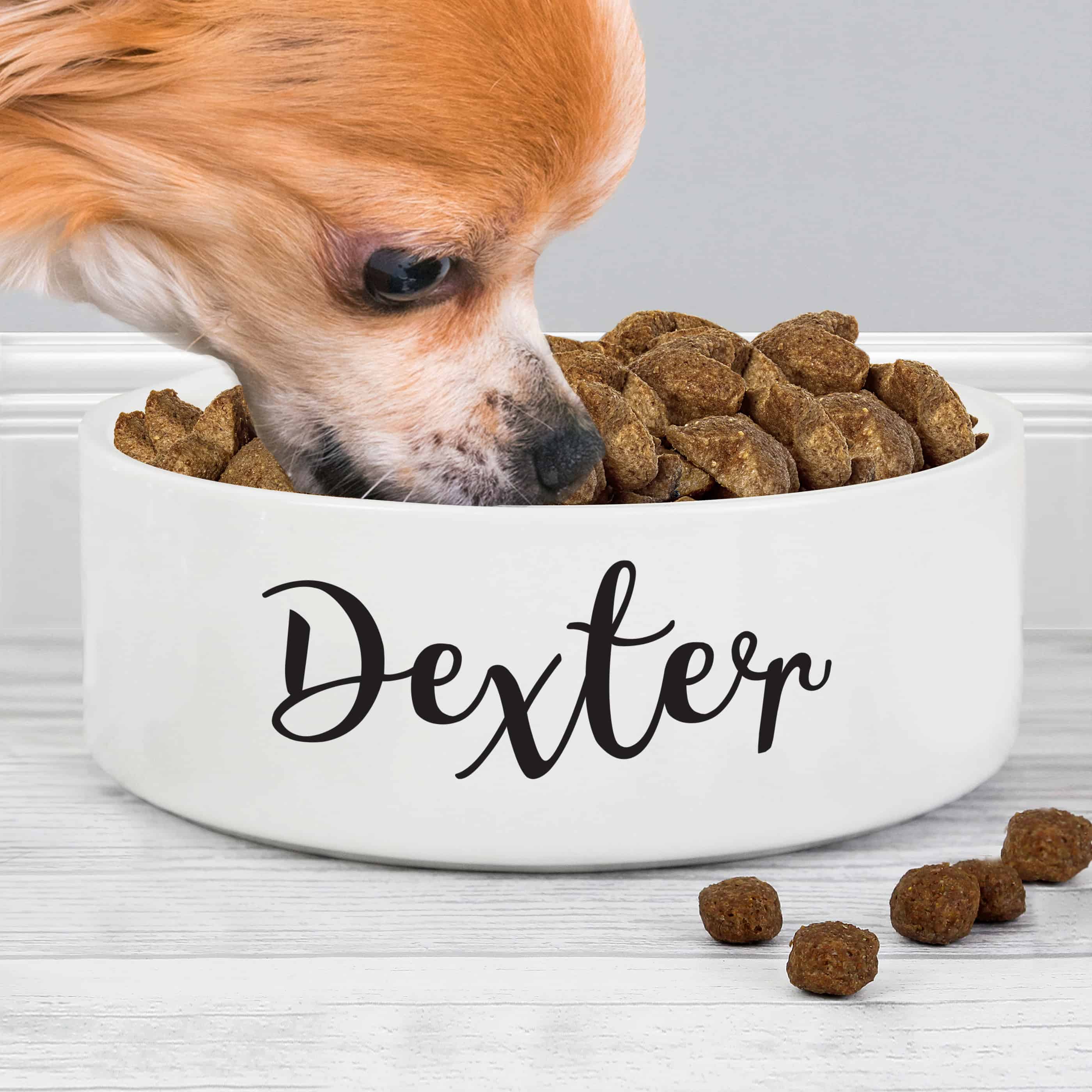 pet bowl. a white bowl available in 2 sizes that can have your pet's name personalised on it for free. a great gift for a dog's christmas, new pet, pet birthday etc