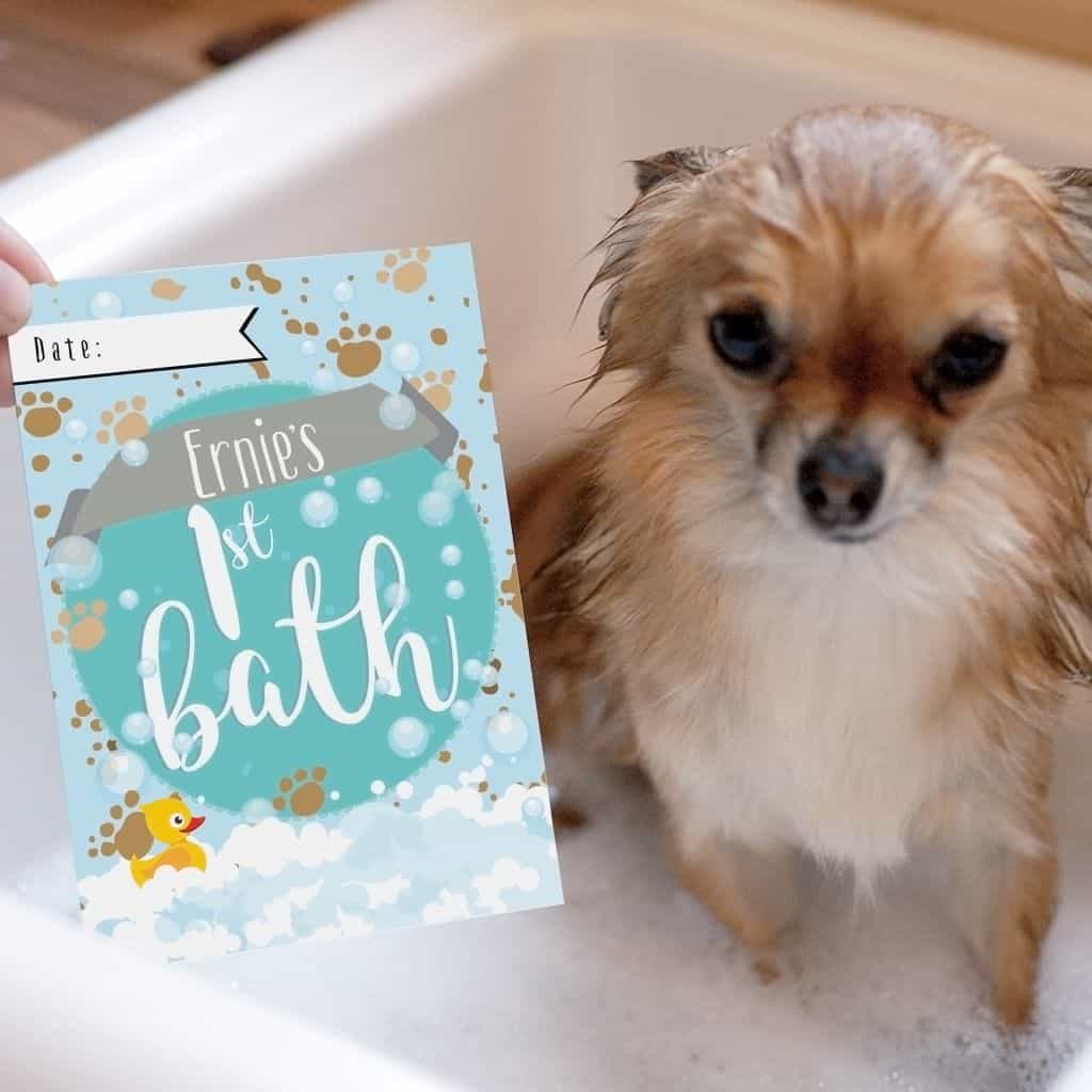 puppy milestone cards